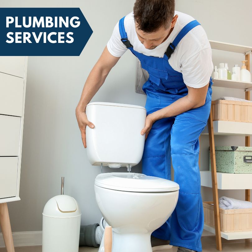 Plumbing Company in North Fort Myers, FL